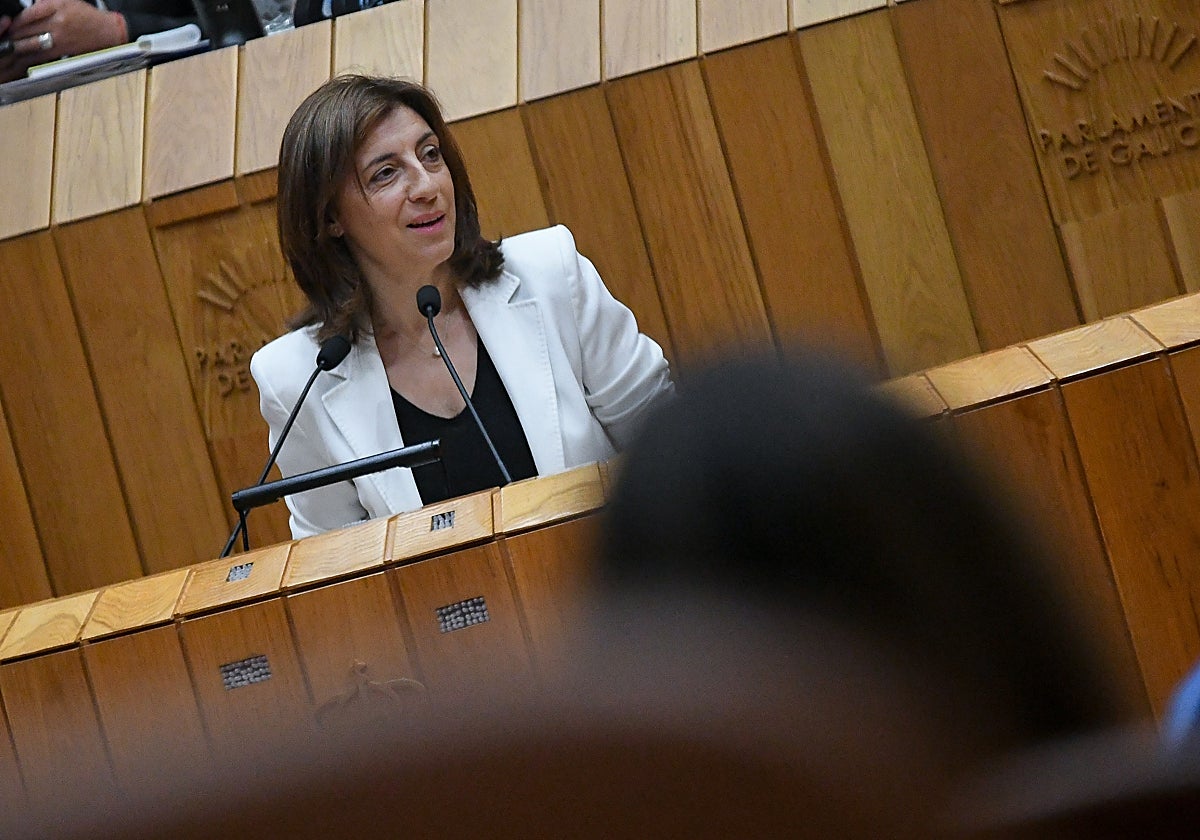 Vázquez defiende la Ley del Clima desde la tribuna del Parlamento