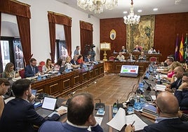 La Diputación de Córdoba destina 497.800 euros para los planes municipales contra el virus del Nilo