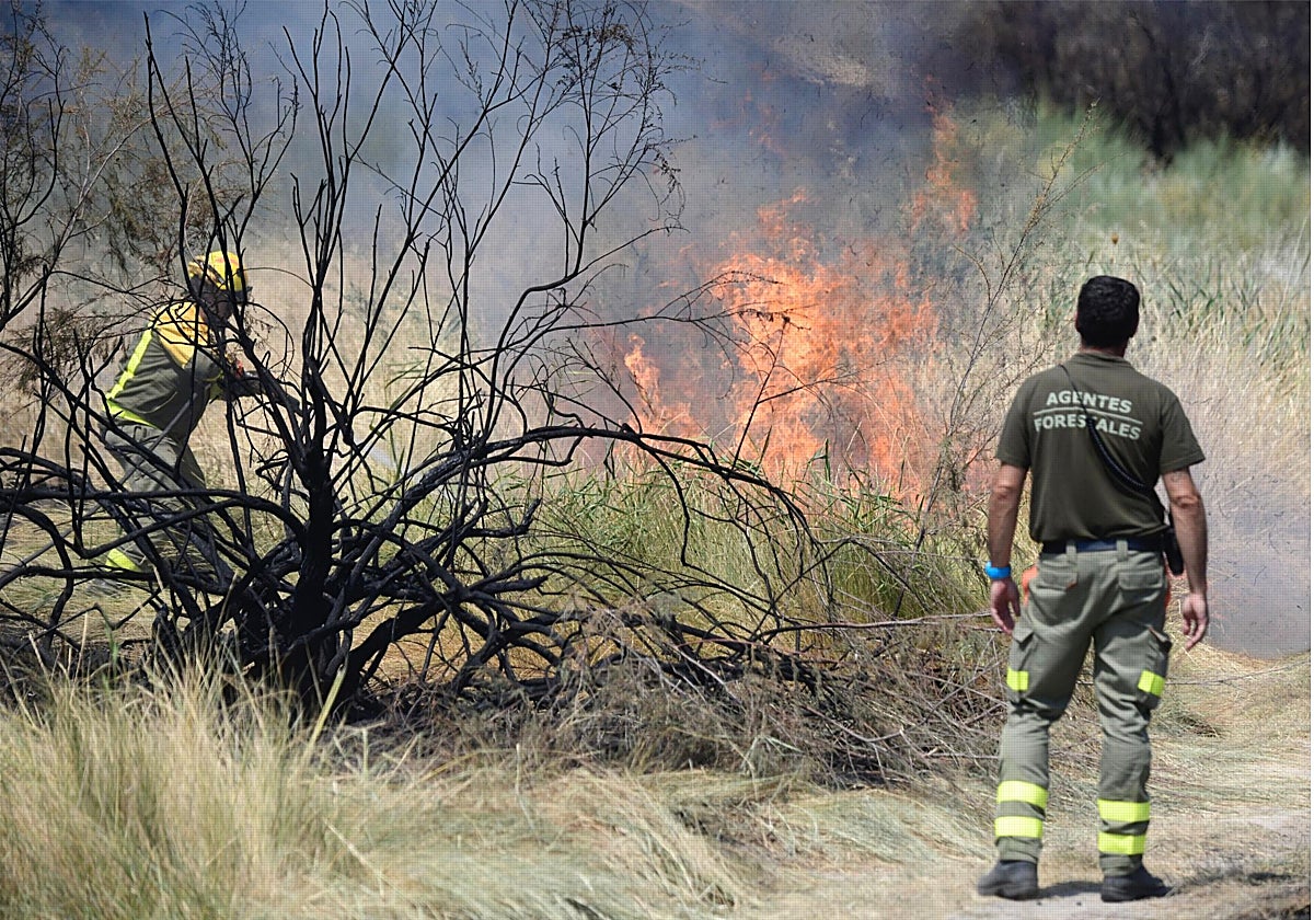 Incendio en Aranjuez a comienzos de este verano