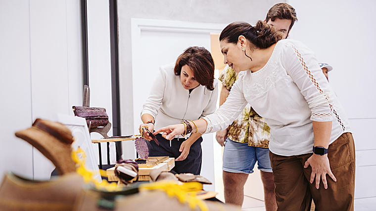 La consejera del Cabildo,Minerva Alonso, en la presentación de la línea