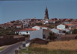 Pedroche activa un gigantesco 'First Dates' para repoblarse tras la dramática pérdida de habitantes