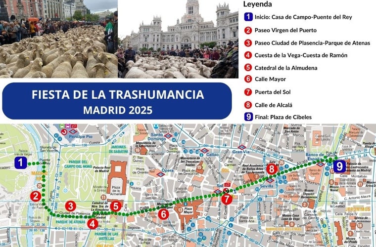 Recorrido ganado por las calles de la ciudad