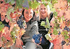 Castilla y León vendimia 291 millones de kilos de uva «de calidad»