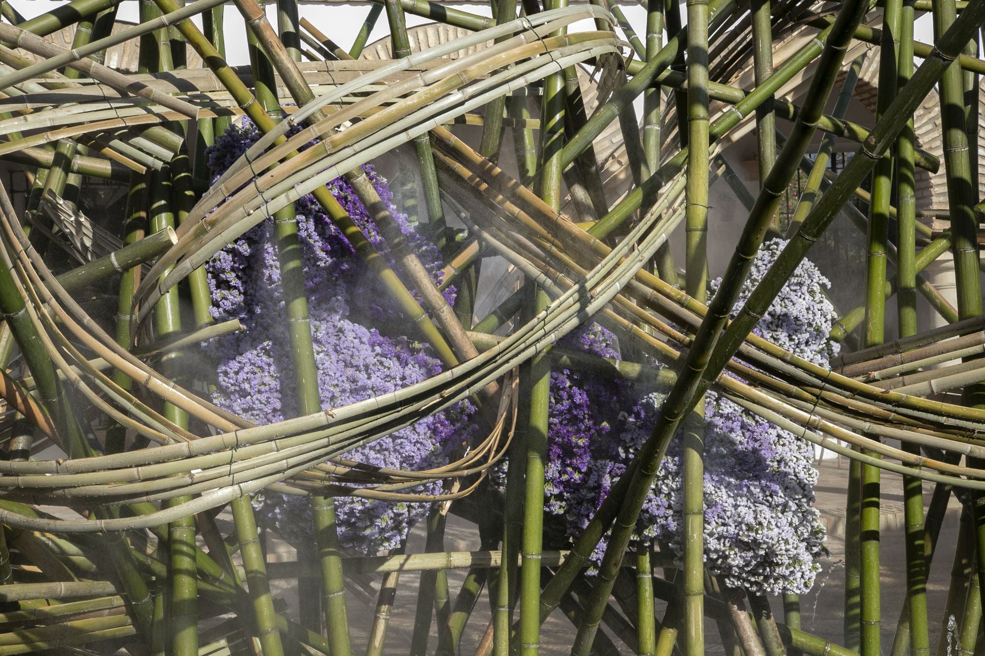 En imágenes, el concurrido arranque de Flora en Córdoba