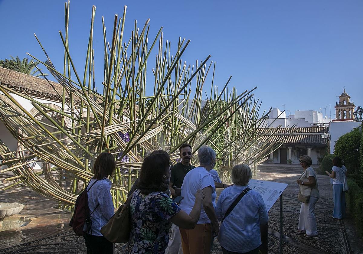 Instalación en el Palacio de Viana