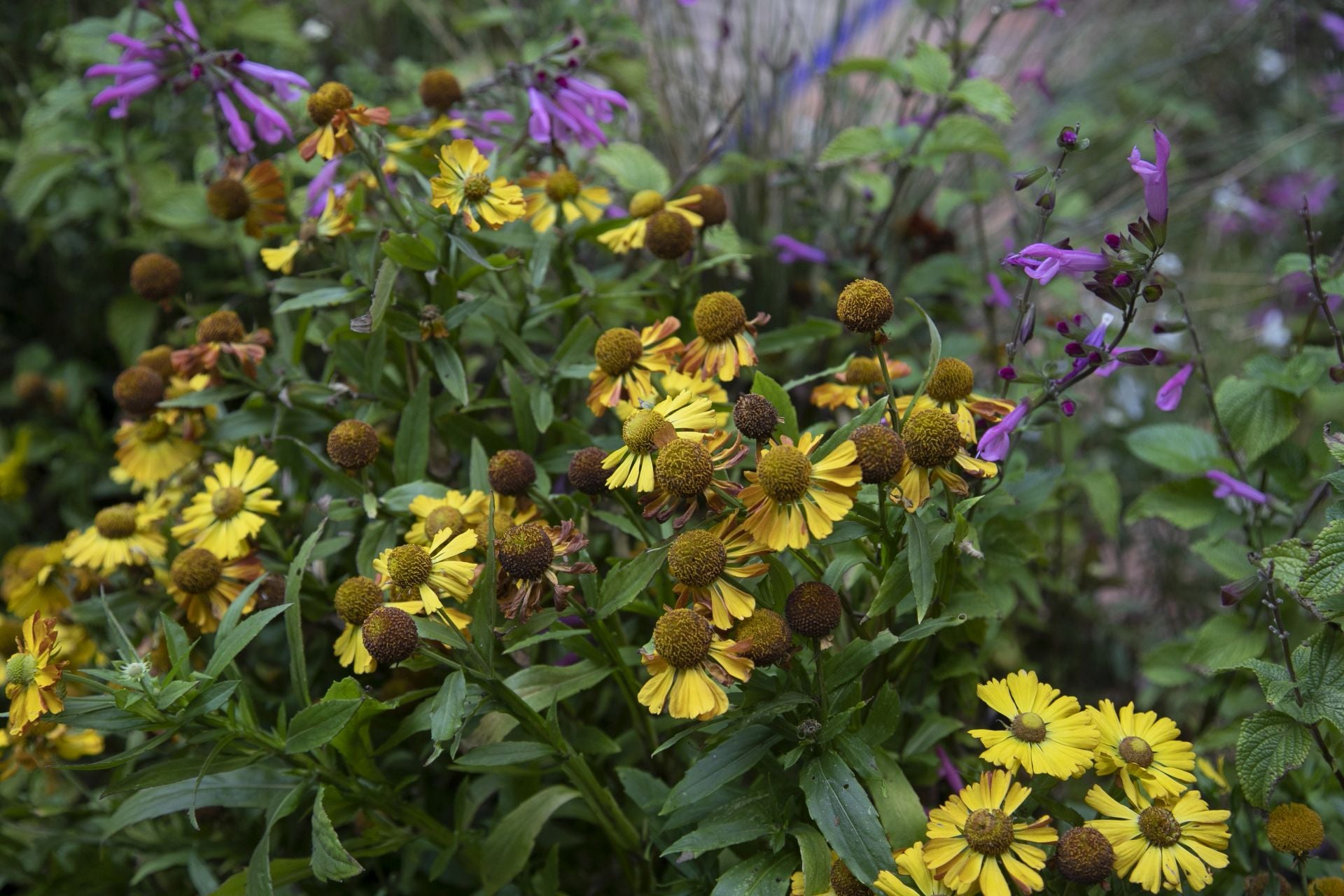 En imágenes, el concurrido arranque de Flora en Córdoba