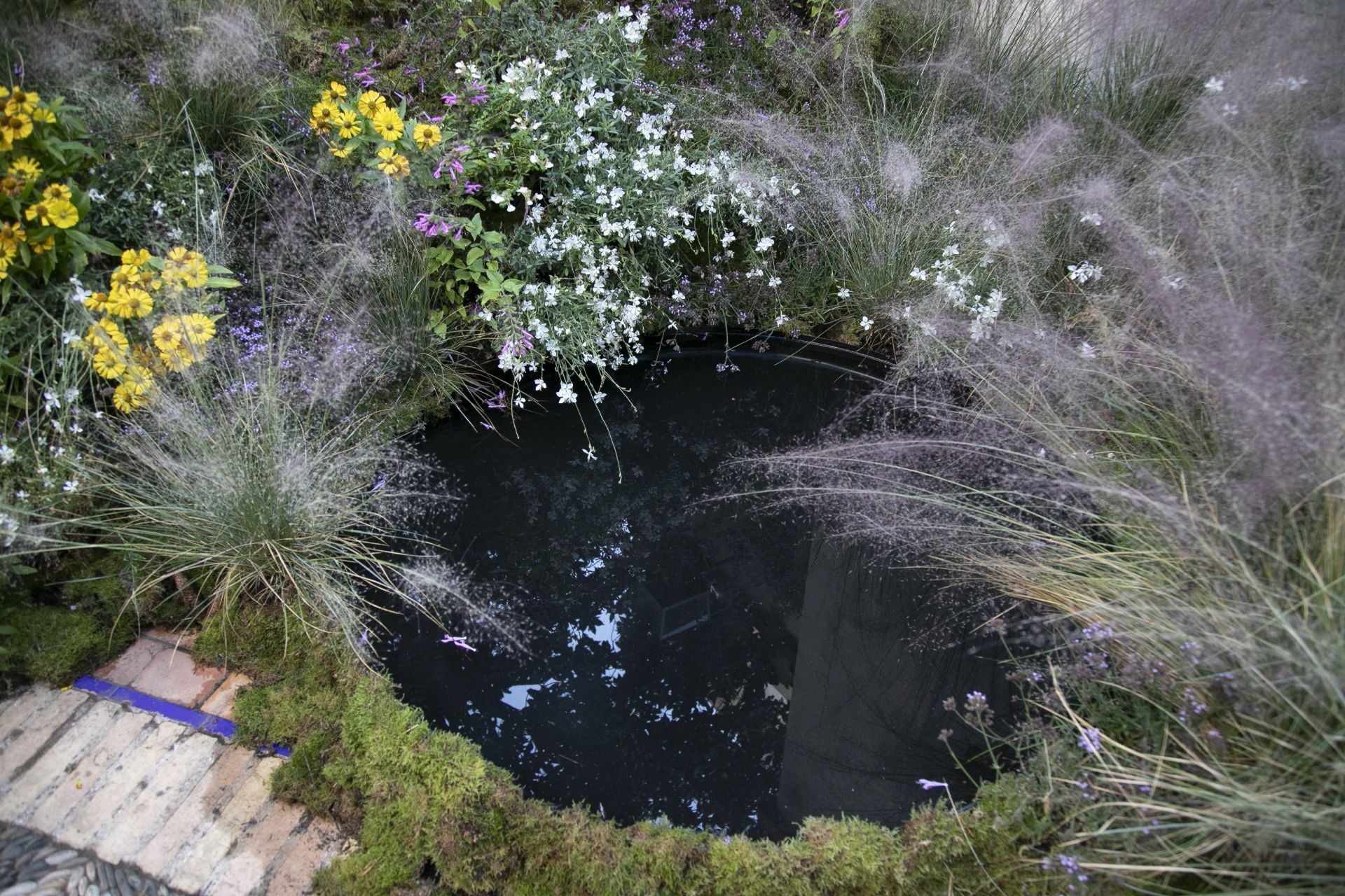 En imágenes, el concurrido arranque de Flora en Córdoba