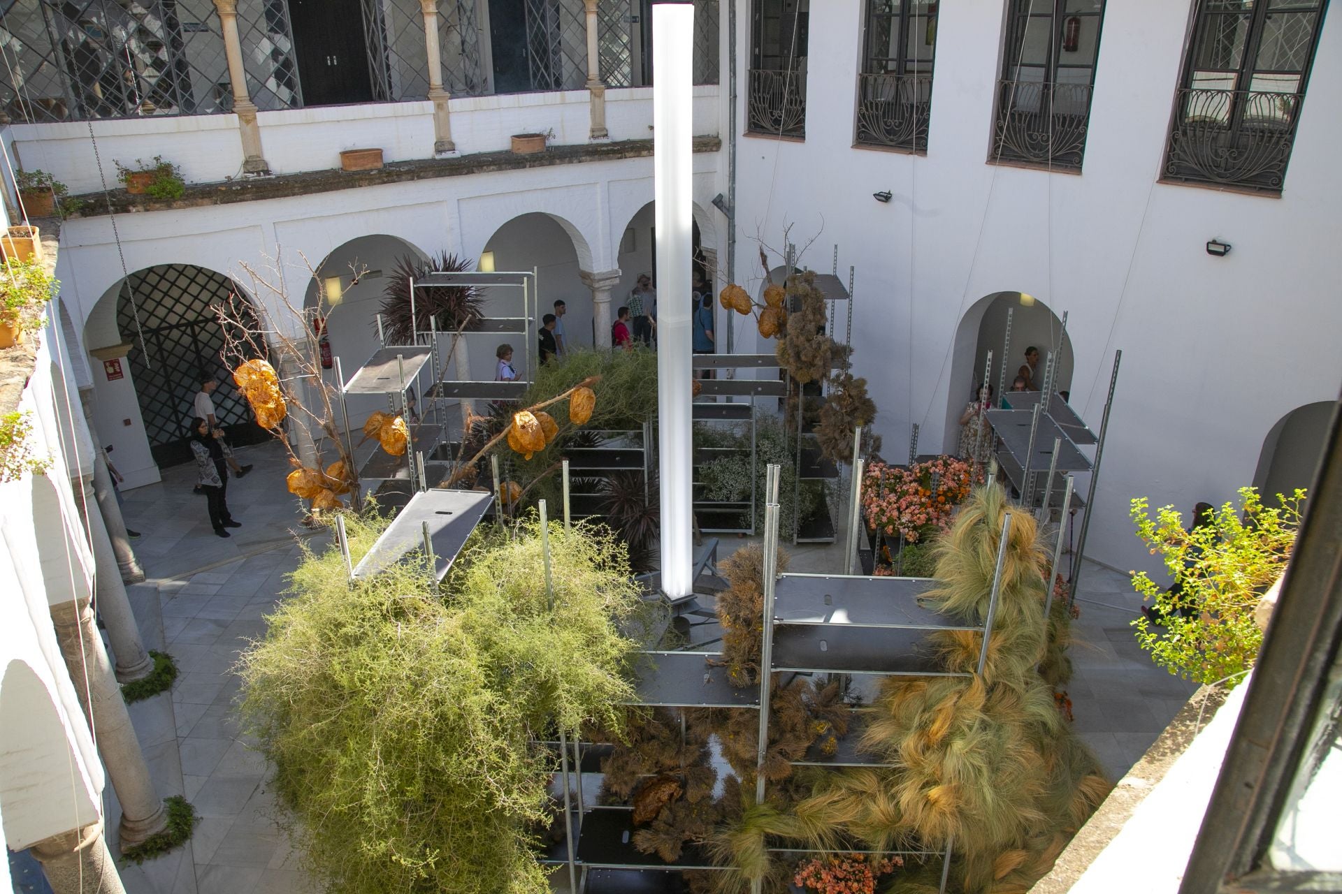 En imágenes, el concurrido arranque de Flora en Córdoba