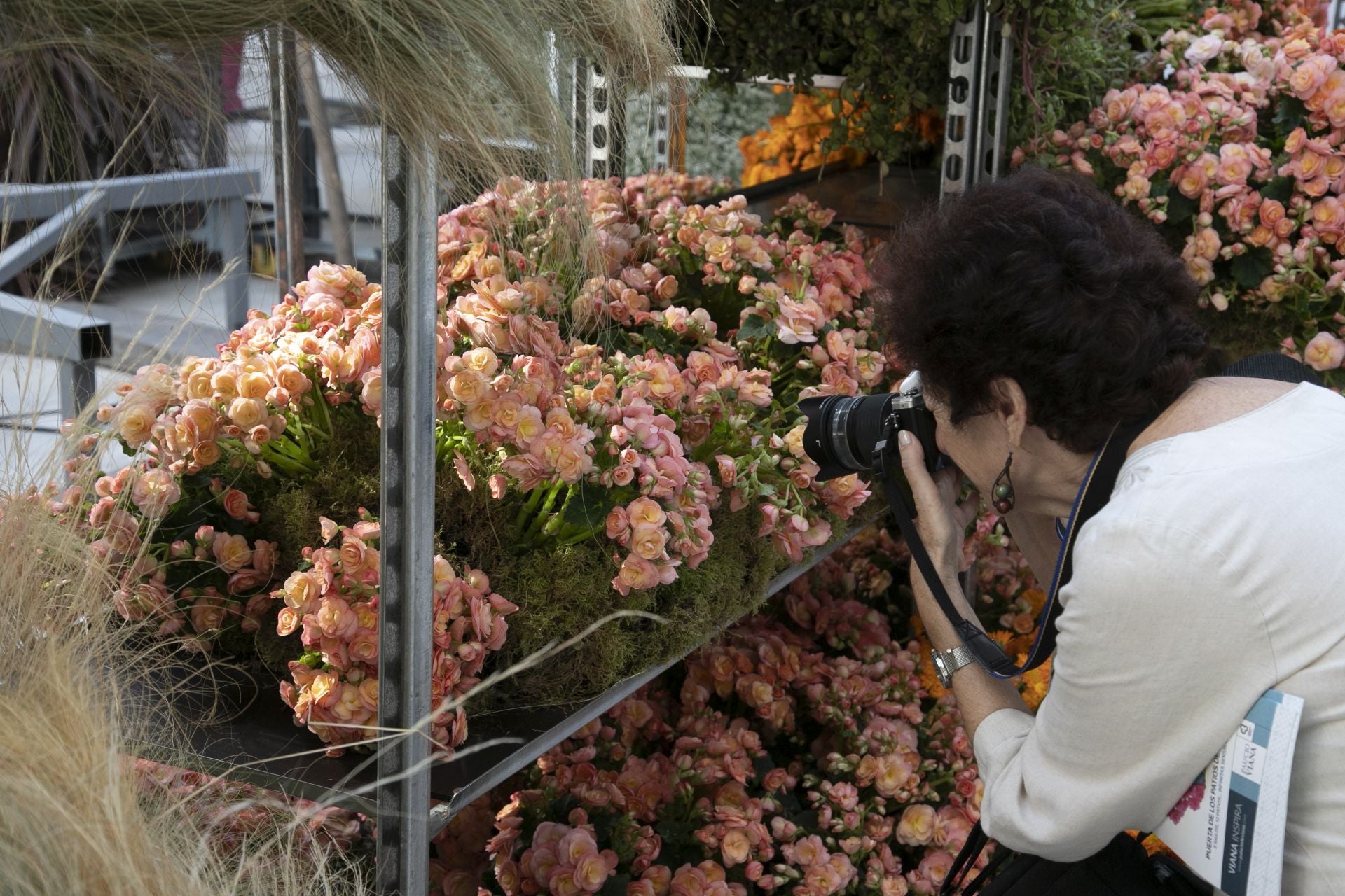 En imágenes, el concurrido arranque de Flora en Córdoba