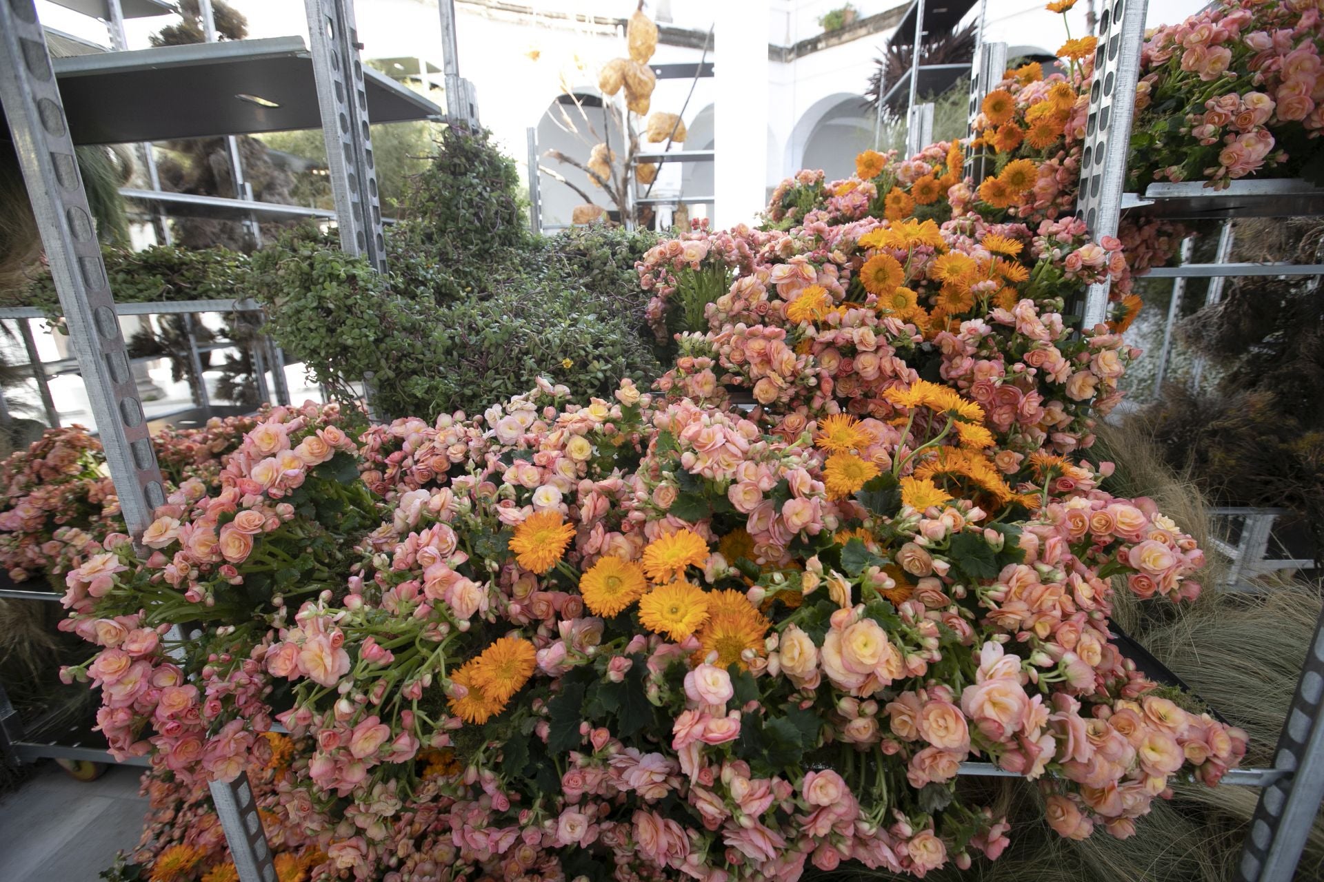 En imágenes, el concurrido arranque de Flora en Córdoba