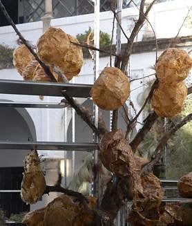 Imagen secundaria 2 - Colas y expectación en el estreno de Flora en Córdoba: «Año tras año no deja de sorprender»