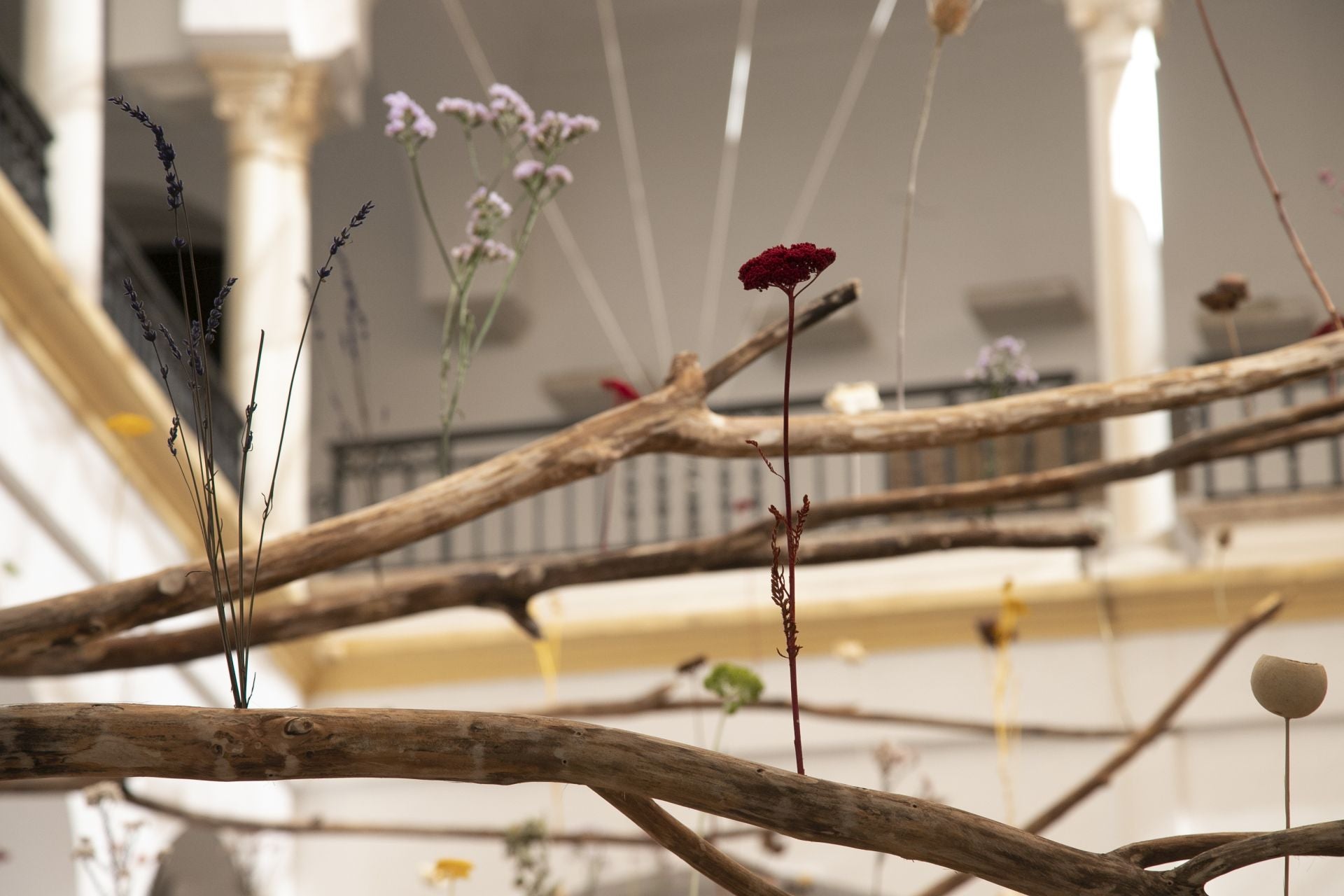 En imágenes, el concurrido arranque de Flora en Córdoba