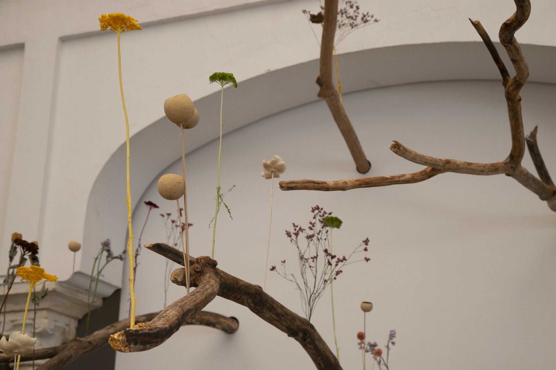 En imágenes, el concurrido arranque de Flora en Córdoba