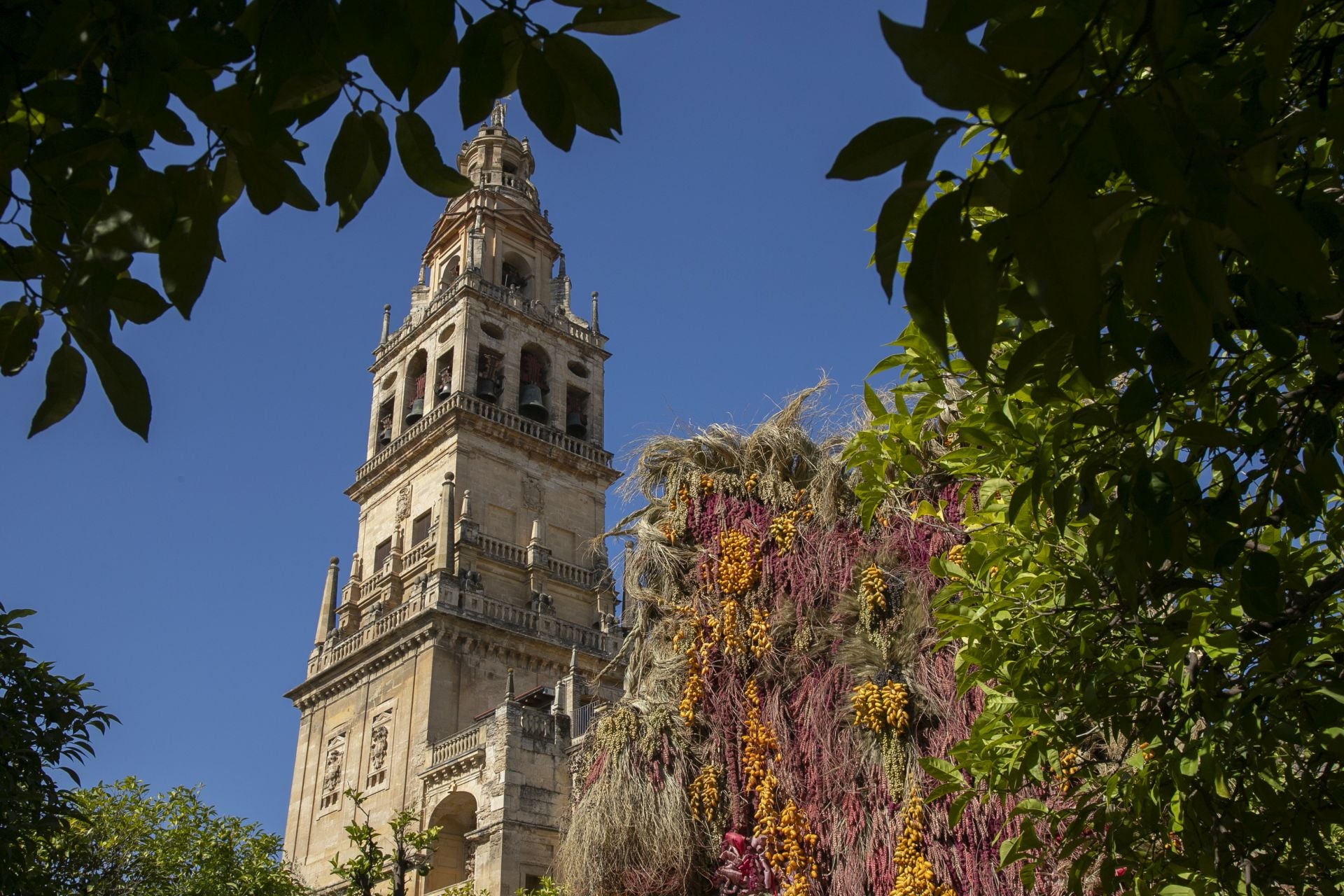 En imágenes, el concurrido arranque de Flora en Córdoba