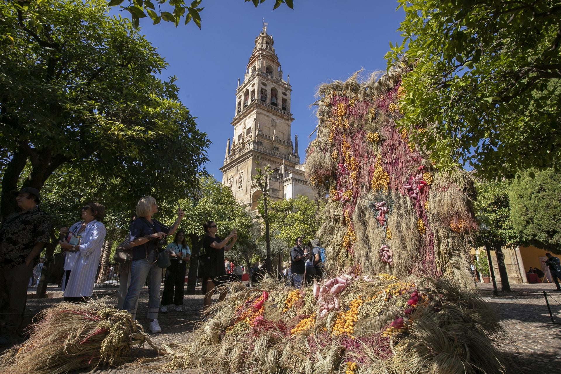 En imágenes, el concurrido arranque de Flora en Córdoba