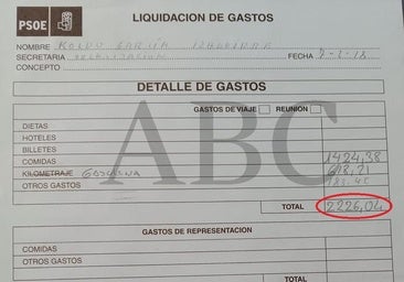 Gasolina, dietas, comidas.... Los pagos de miles de euros del PSOE a Koldo y Ábalos