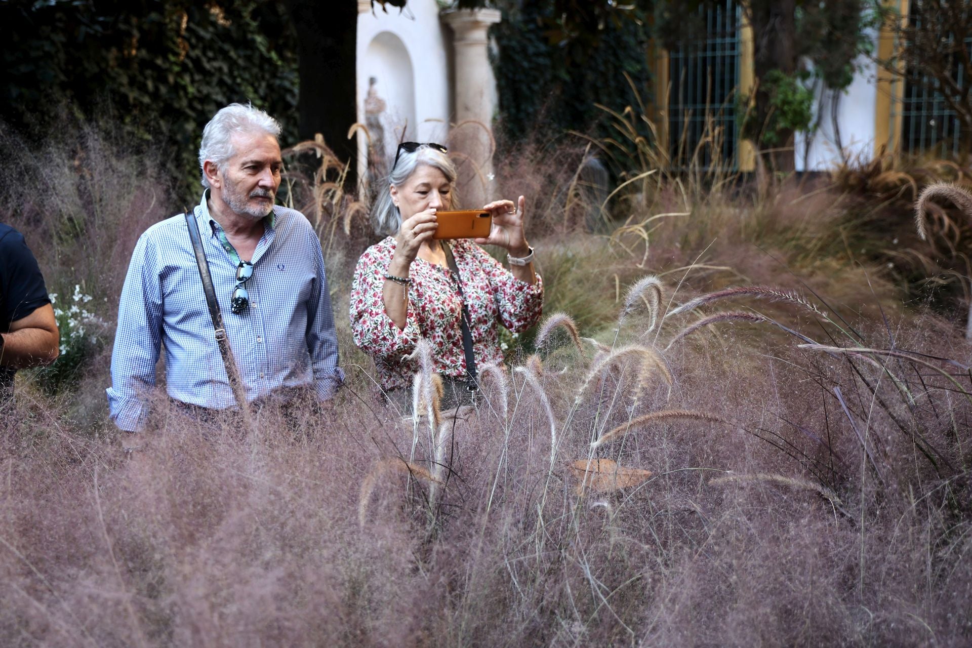 Las multitudinarias visitas a los patios de Flora en Córdoba, en imágenes