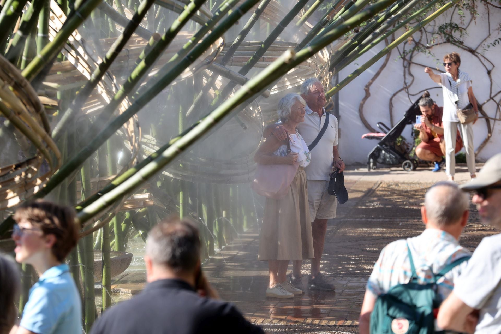 Las multitudinarias visitas a los patios de Flora en Córdoba, en imágenes