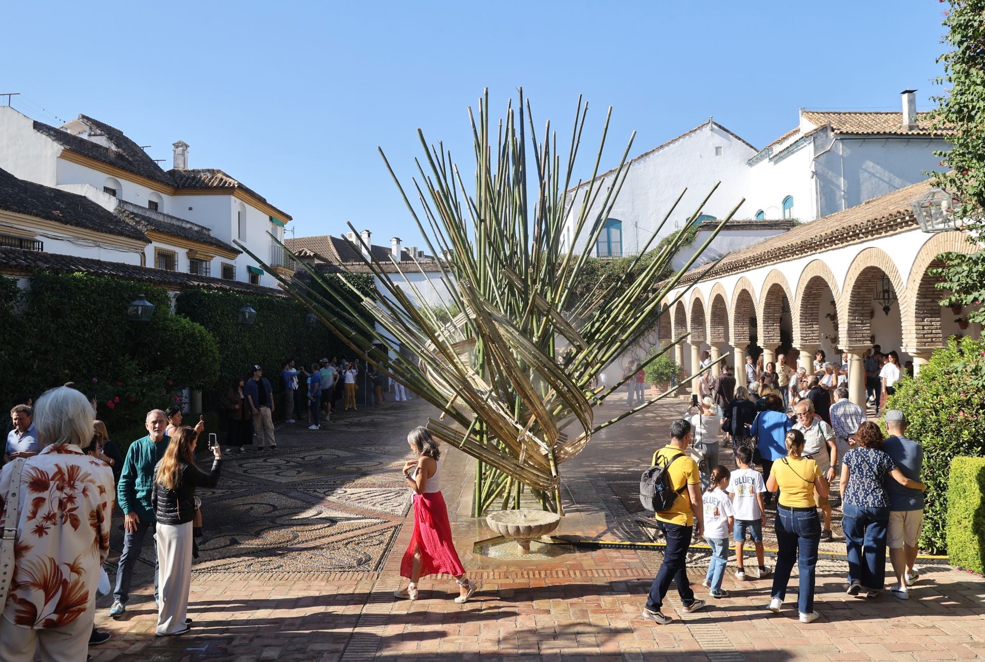Las multitudinarias visitas a los patios de Flora en Córdoba, en imágenes