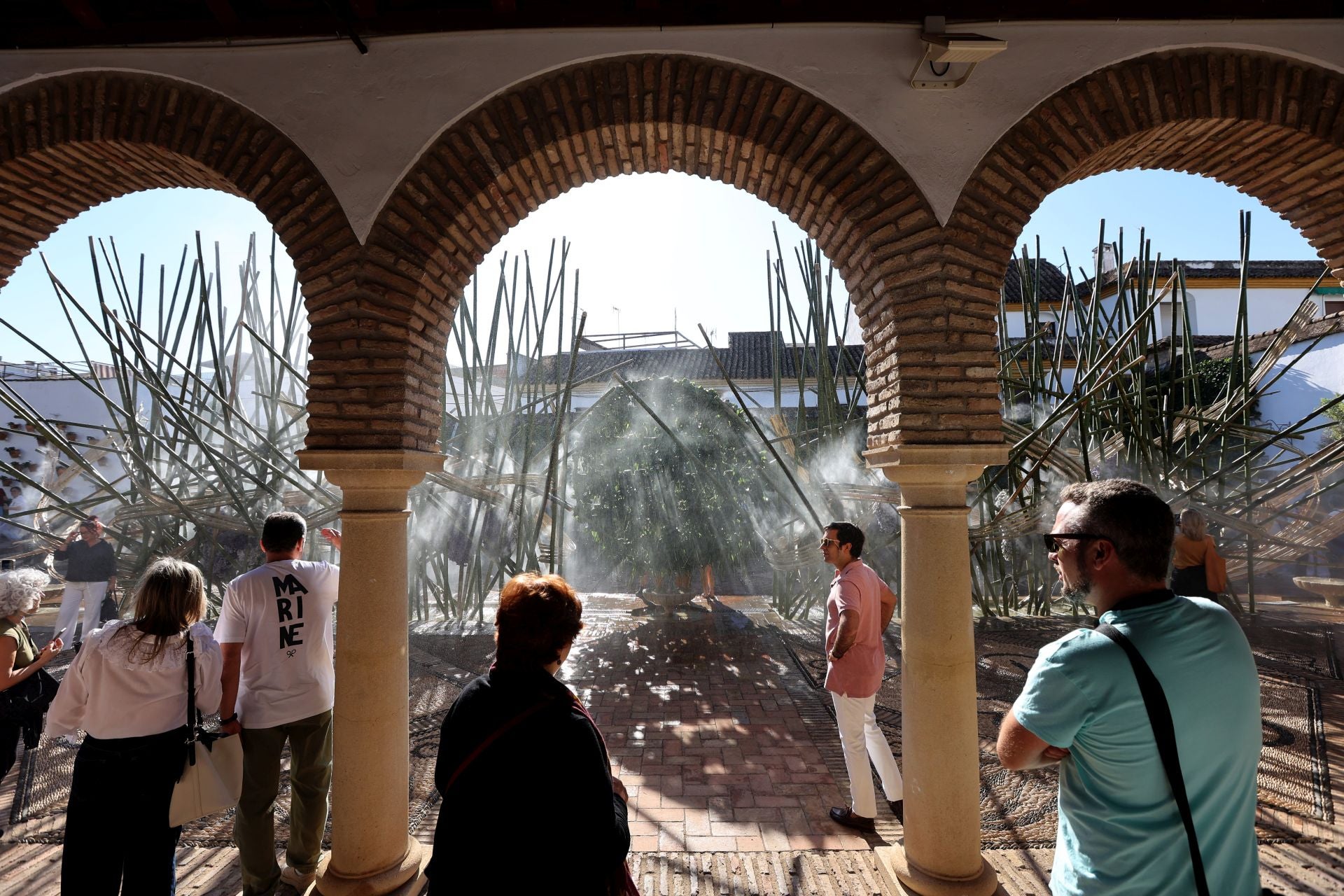 Las multitudinarias visitas a los patios de Flora en Córdoba, en imágenes