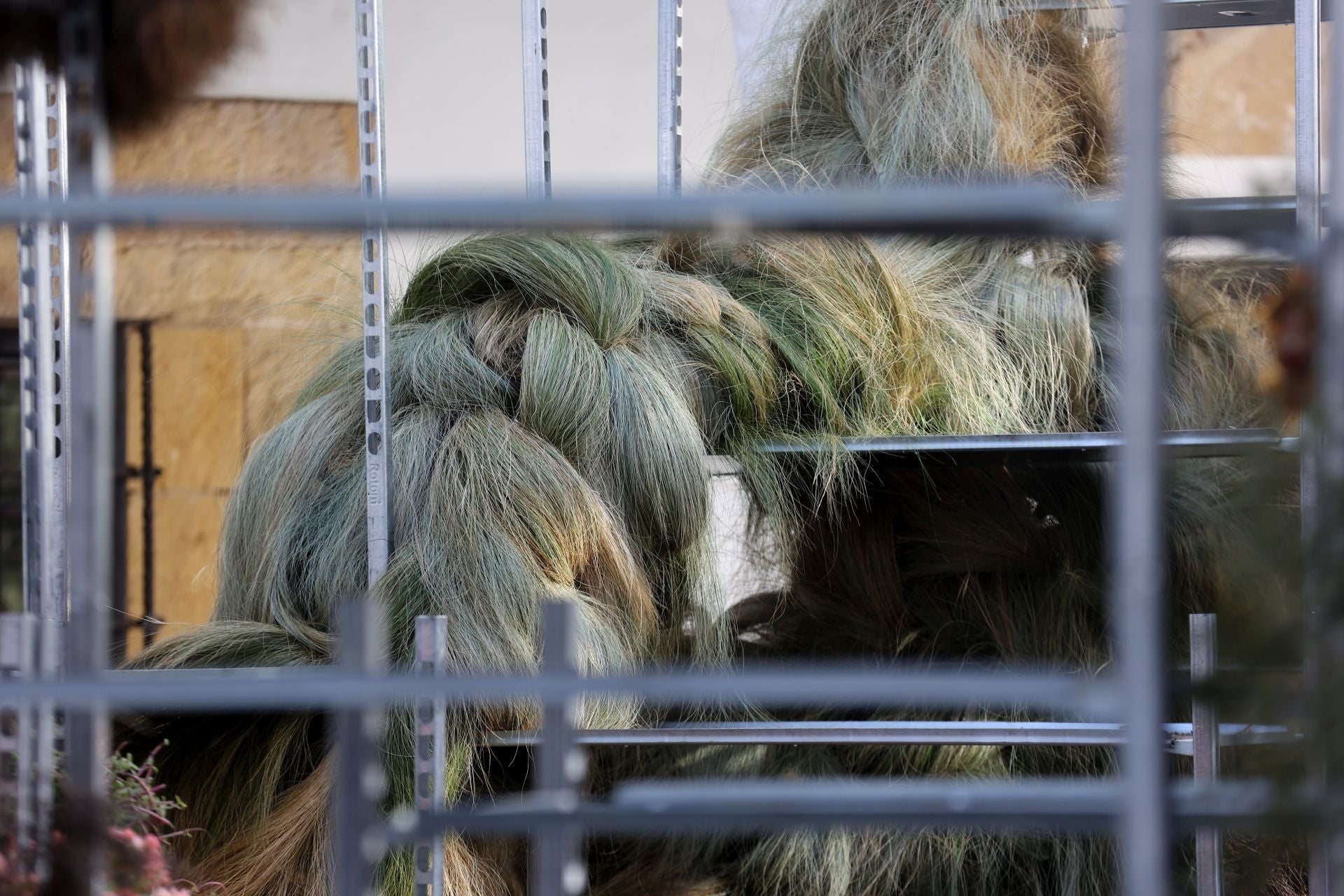 Las multitudinarias visitas a los patios de Flora en Córdoba, en imágenes