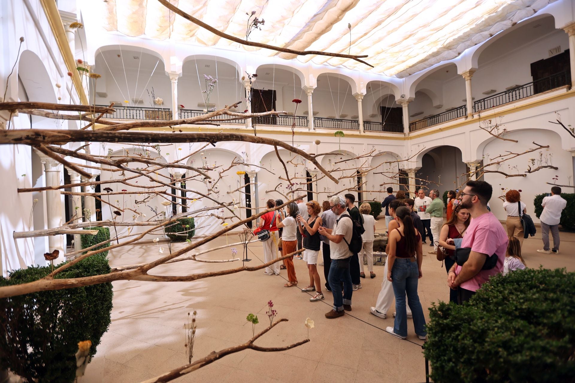Las multitudinarias visitas a los patios de Flora en Córdoba, en imágenes