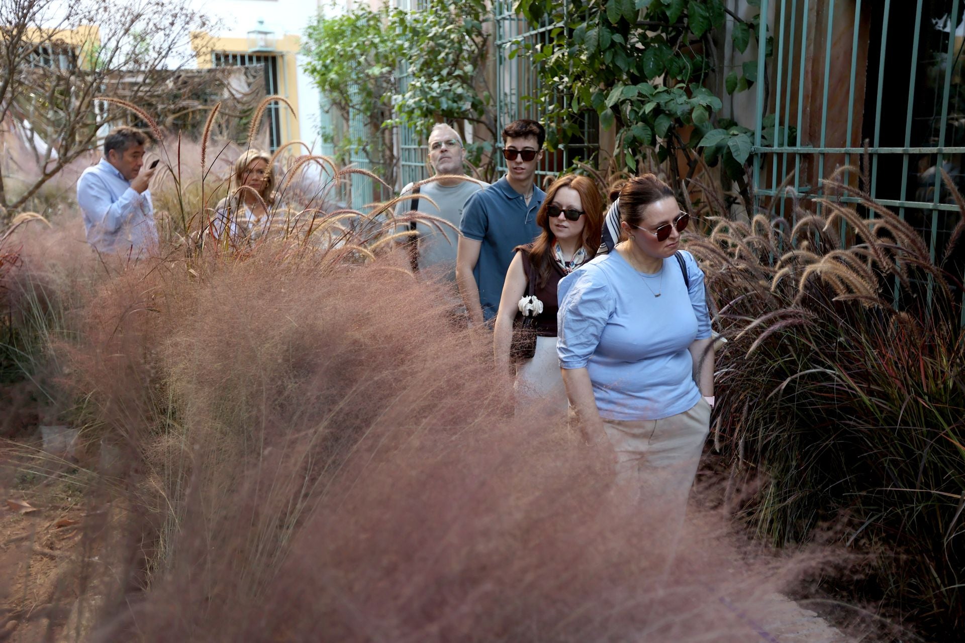 Las multitudinarias visitas a los patios de Flora en Córdoba, en imágenes