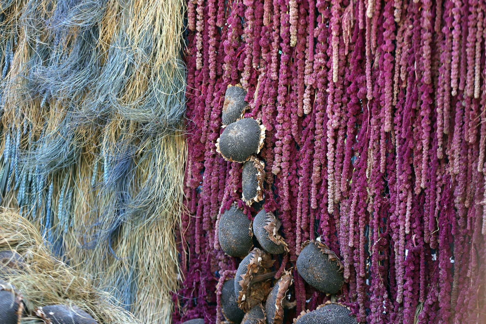 Las multitudinarias visitas a los patios de Flora en Córdoba, en imágenes
