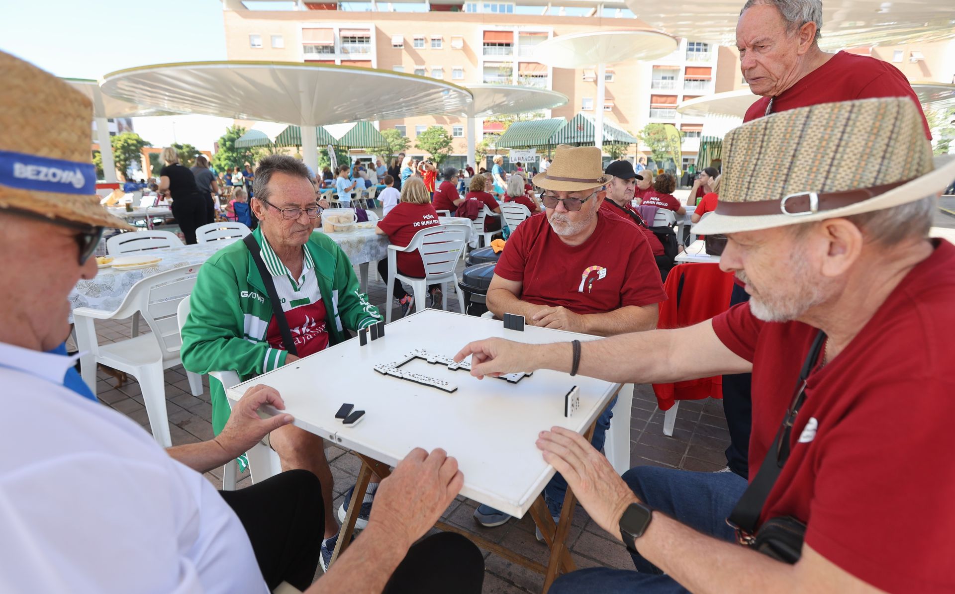 La animada jornada de convivencia de las peñas cordobesas, en imágenes