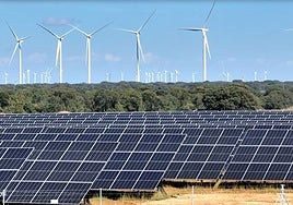 Las explotaciones agrarias de Córdoba con plantas solares de consumo propio podrán tener ayudas de la PAC