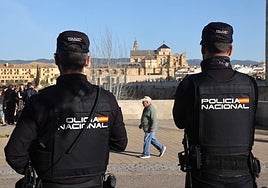 Libertad con cargos para los dos detenidos por intentar secuestrar a una niña en el barrio del Sector Sur de Córdoba