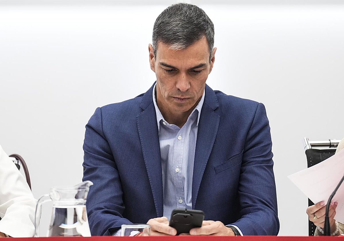 El presidente del Gobierno, Pedro Sánchez, que comparecerá en el Senado el día 30