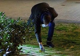 La imposibilidad de localizar al indigente se salda con la absolución del guardia urbano que le disparó