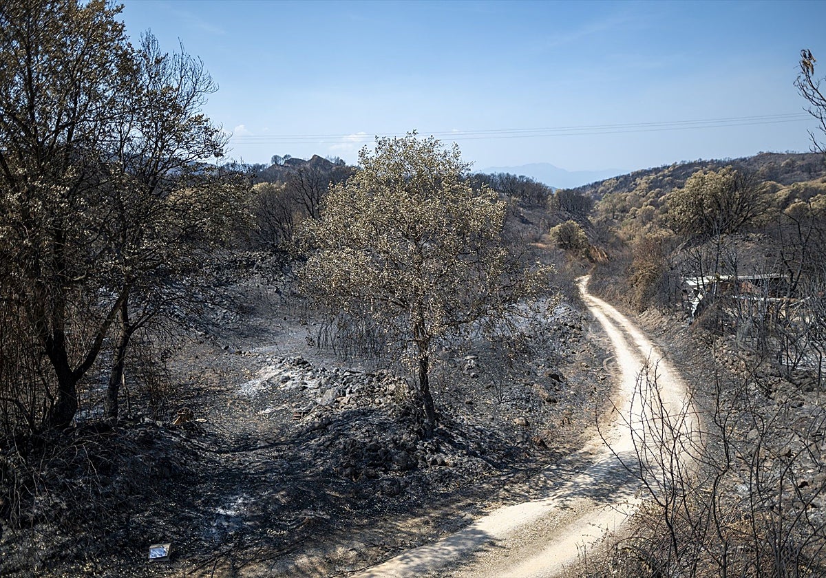 Zona calcinada de Las Médulas por el incendio de Yeres-Llamas de la Cabrera, en la provincia de León