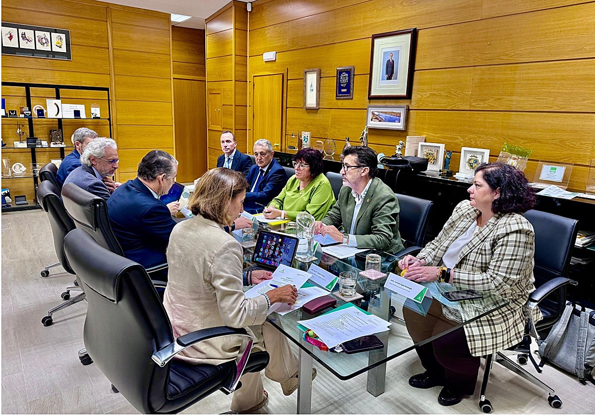 Antonio Sanz, reunido con el Consejo Andaluz de Enfermería