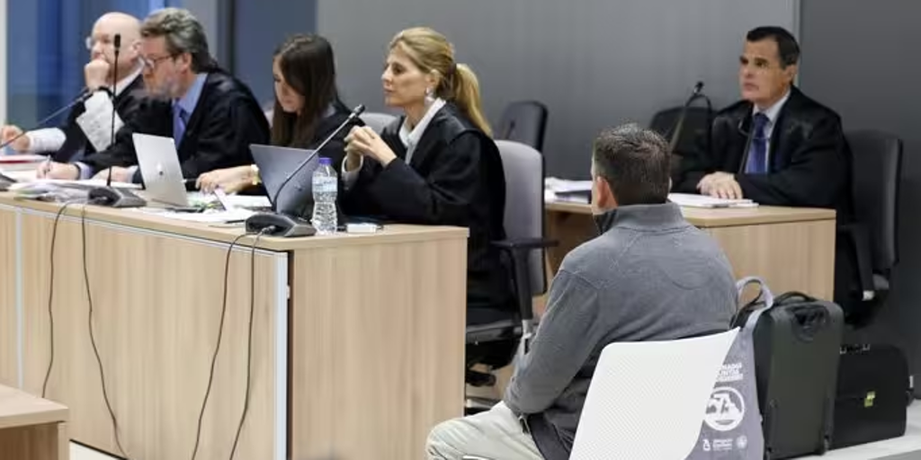 Crimen de Los Lirios: el suicidio de una mujer que derivó en un posible asesinato machista a manos de su marido