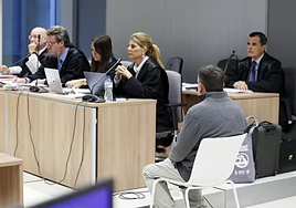 Crimen de Los Lirios: el suicidio de una mujer que derivó en un posible asesinato machista a manos de su marido