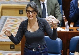 Más Madrid pide una comisión de investigación en la Asamblea sobre Madrid Network