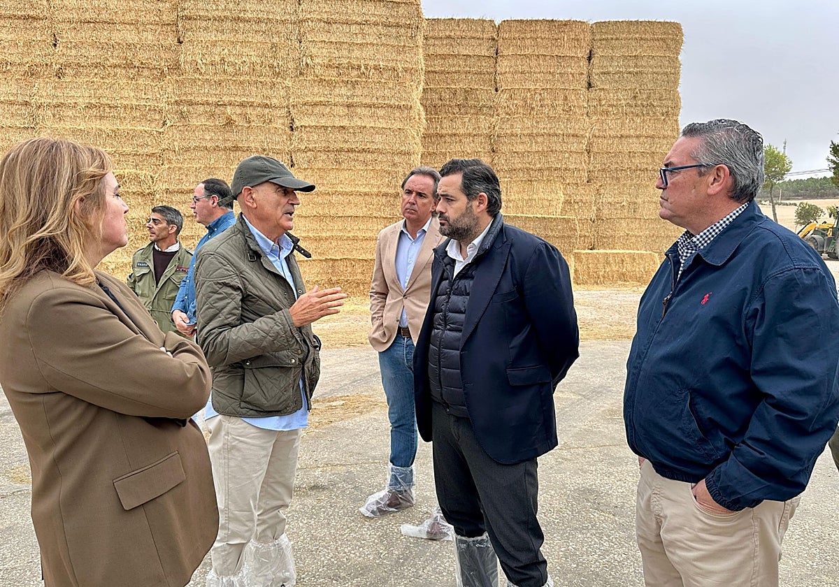 El presidente del PP de Castilla-La Mancha, Paco Núñez, visitó la almazara de Puebla de Almenara