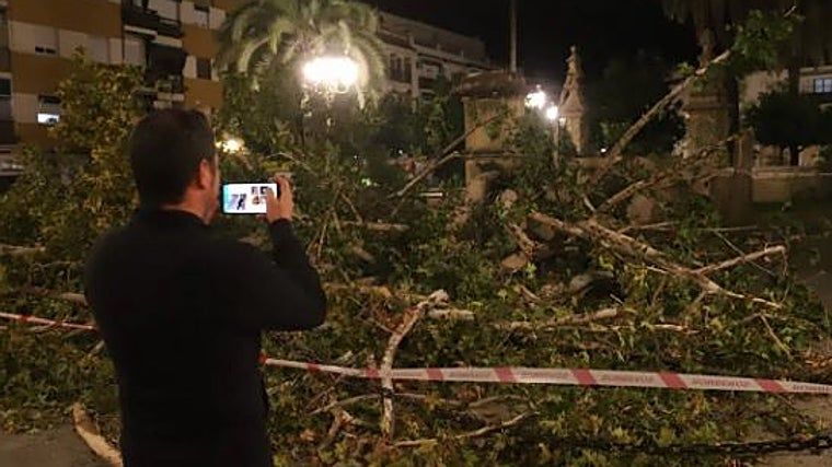 Triunfo de San Rafael del que cayó la imagen hace dos años, aún sin reponer