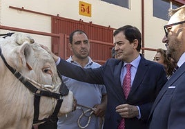 Castilla y León suspende desde el sábado las ferias de ganado por la Dermatosis Nodular