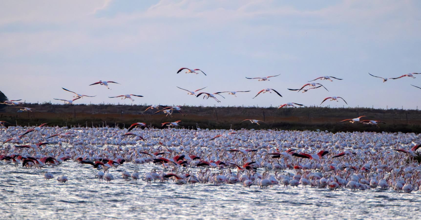 Esplendor otoñal en la finca Veta La Palma en el entorno de Doñana