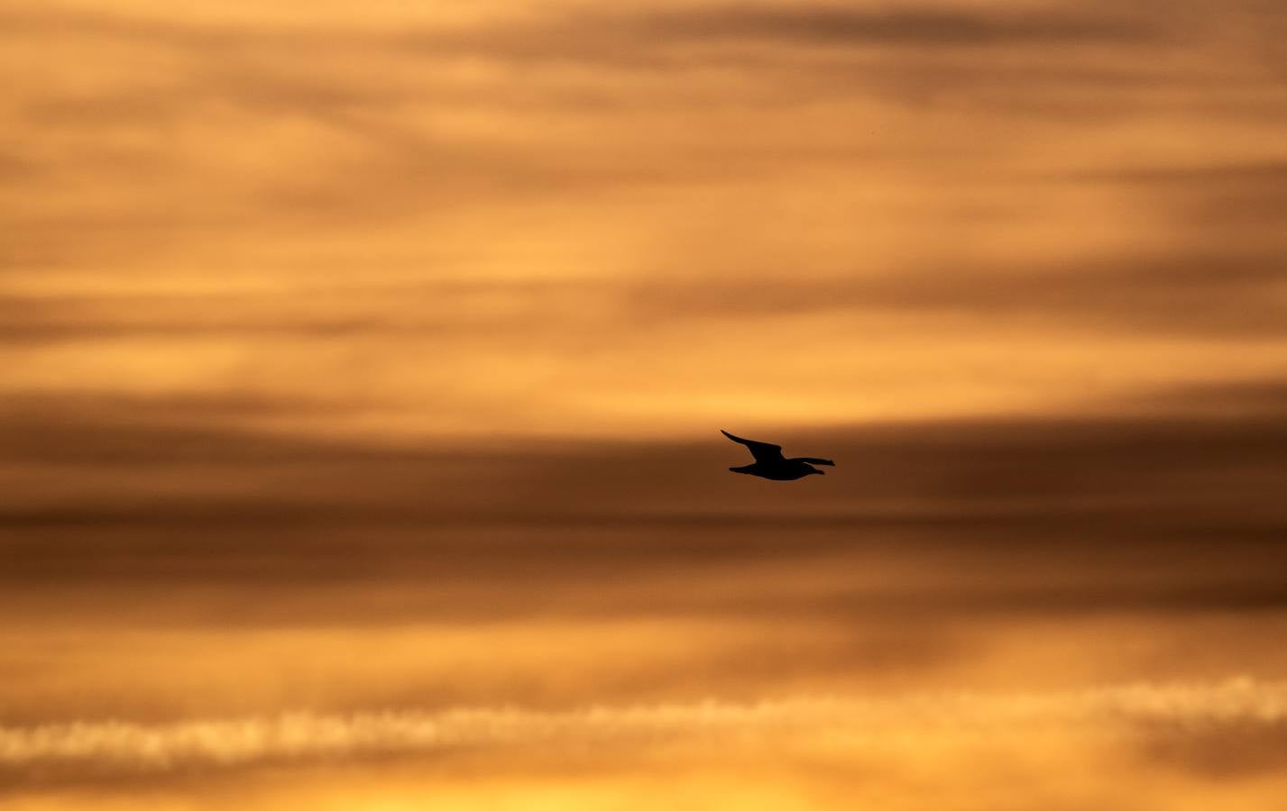 Esplendor otoñal en la finca Veta La Palma en el entorno de Doñana