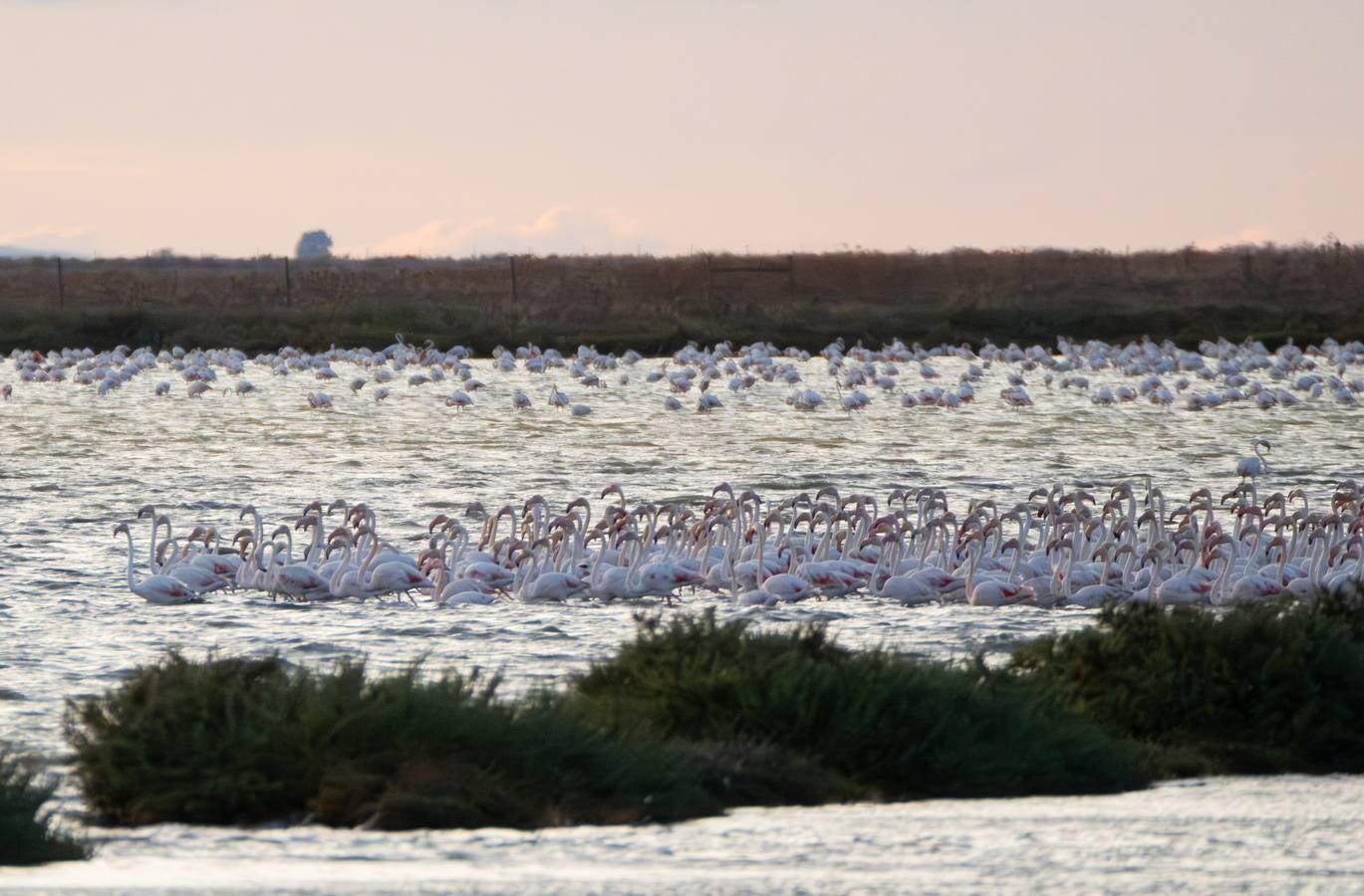 Esplendor otoñal en la finca Veta La Palma en el entorno de Doñana