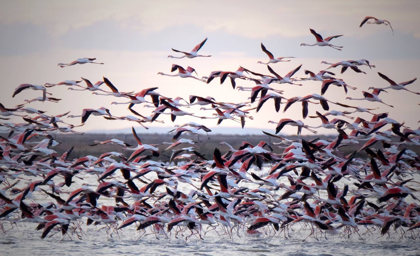 Esplendor otoñal en la finca Veta La Palma en el entorno de Doñana