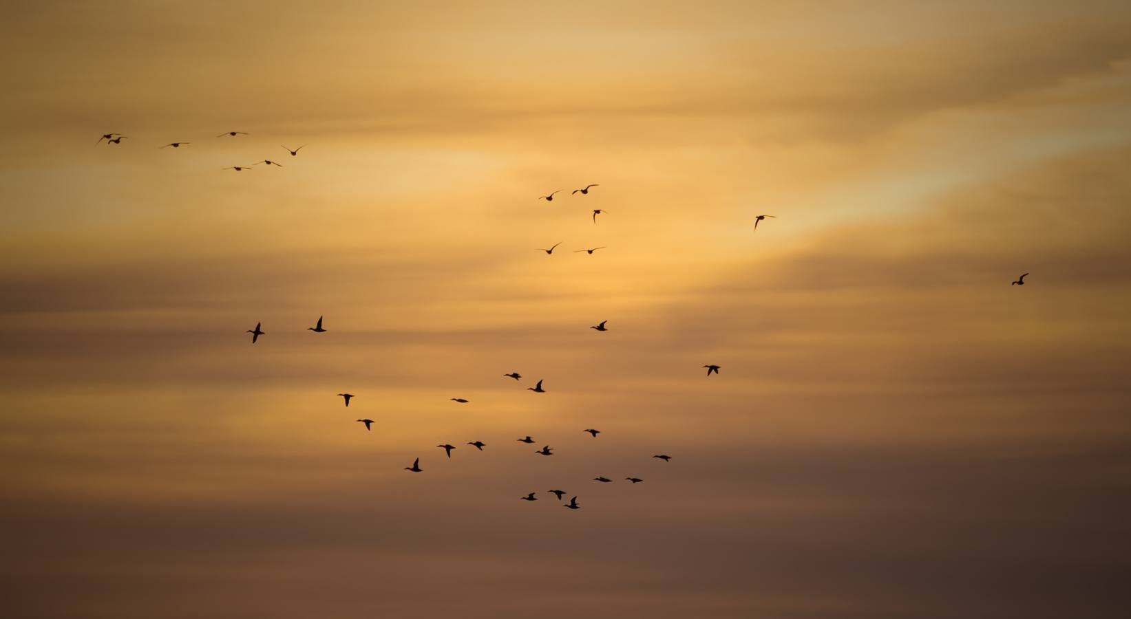 Esplendor otoñal en la finca Veta La Palma en el entorno de Doñana