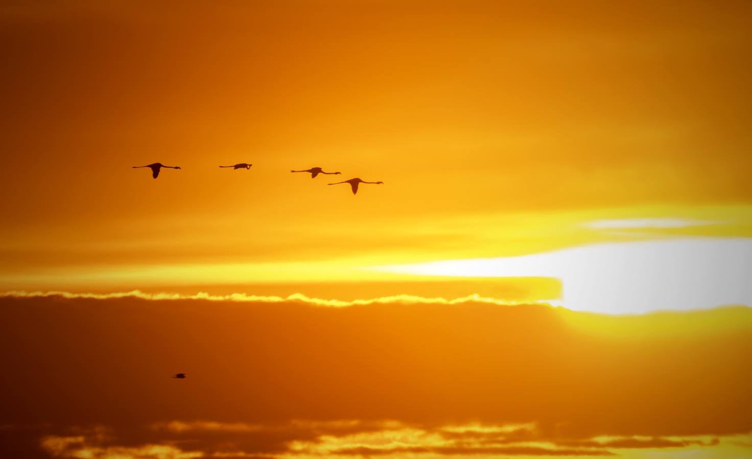 Esplendor otoñal en la finca Veta La Palma en el entorno de Doñana