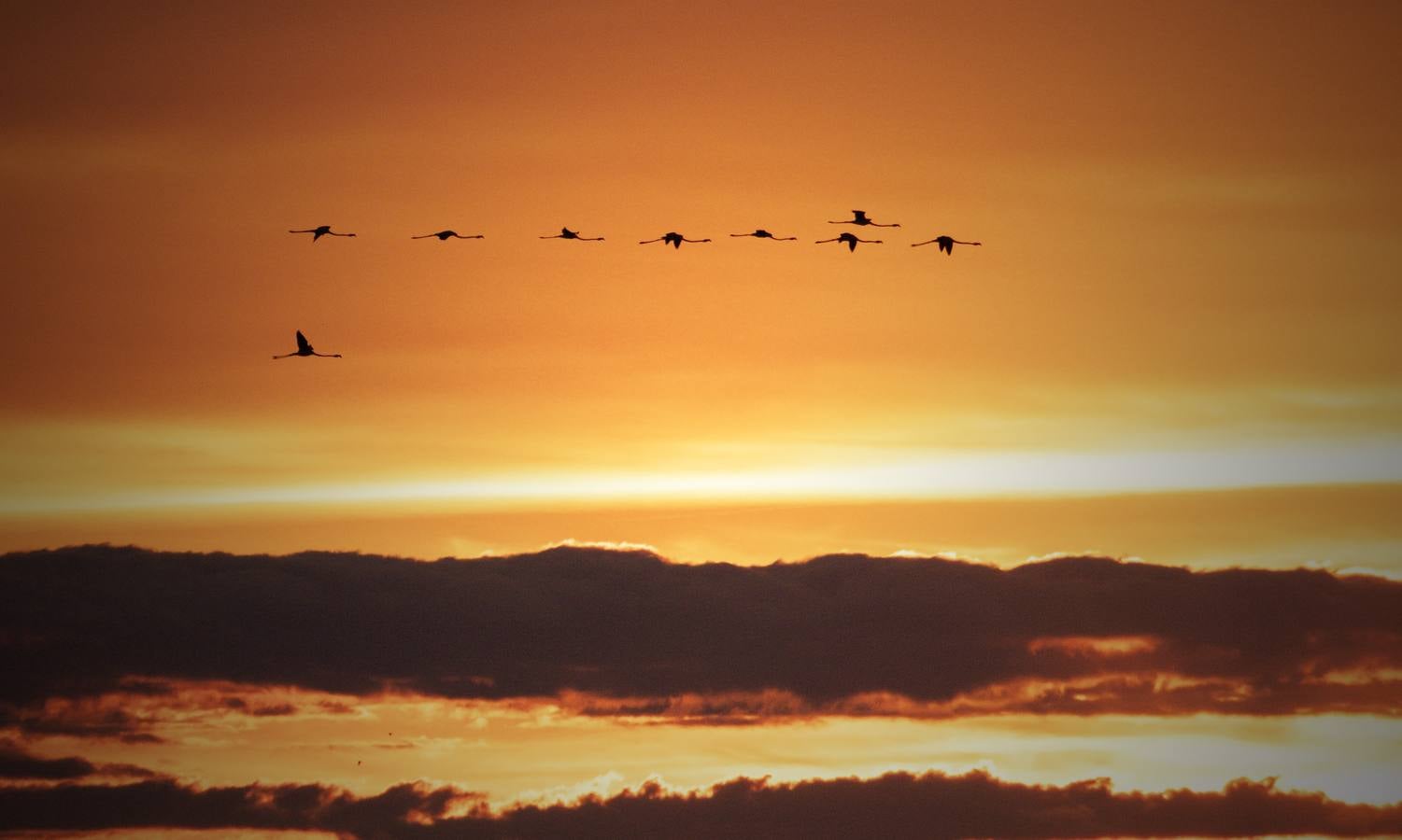 Esplendor otoñal en la finca Veta La Palma en el entorno de Doñana