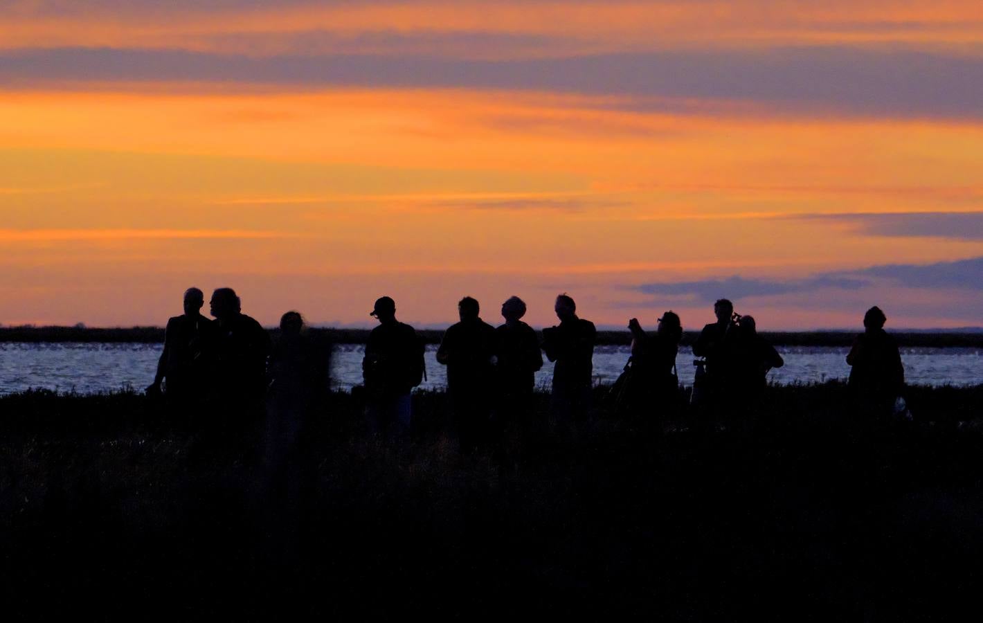 Esplendor otoñal en la finca Veta La Palma en el entorno de Doñana