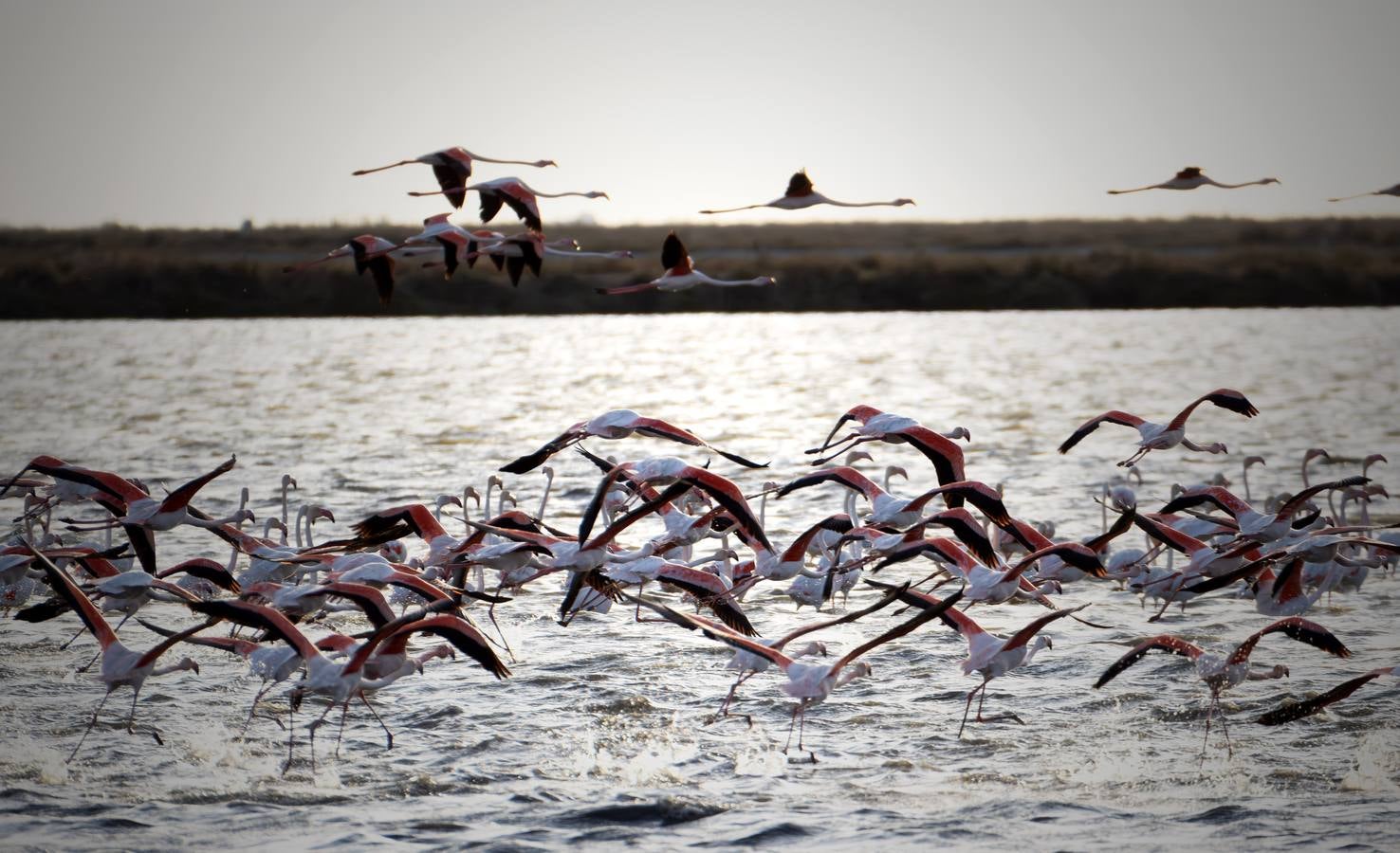 Esplendor otoñal en la finca Veta La Palma en el entorno de Doñana